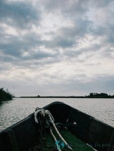 Excursion-La-Albufera