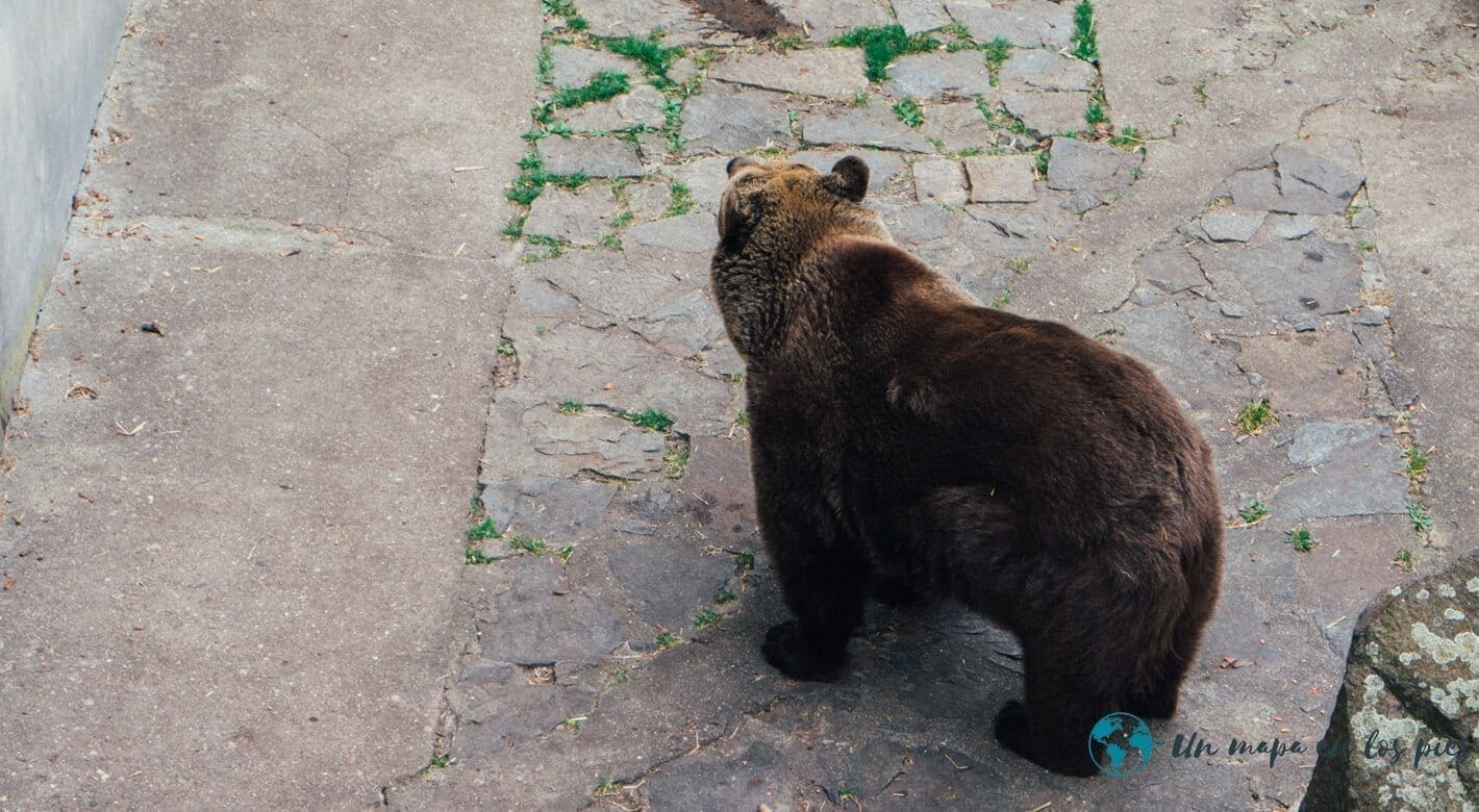 castillo cesky krumlov