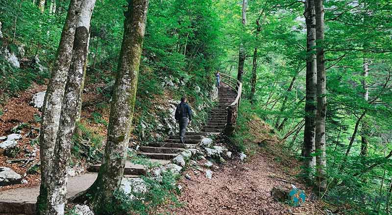 Escaleras-cascada-savica