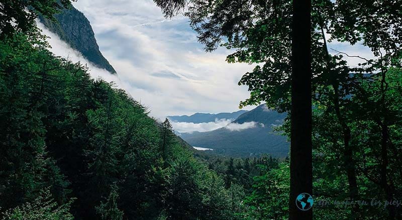 Vistas-Lago-Bohinj