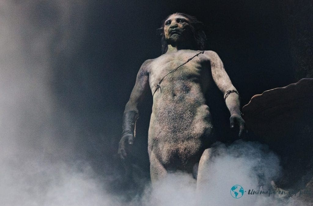 centauros estudios de harry potter