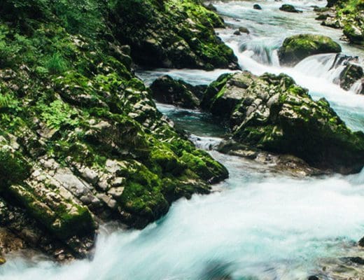 vintar gorje eslovenia bled