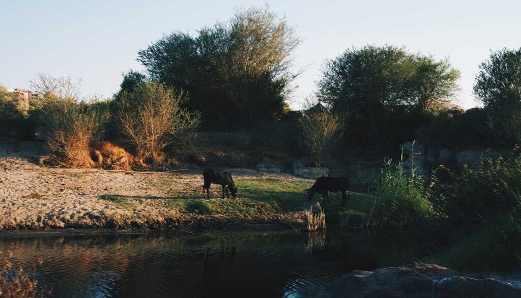 vida orilla rio nilo