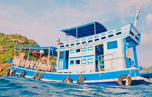 descuento bucear pura vida koh tao