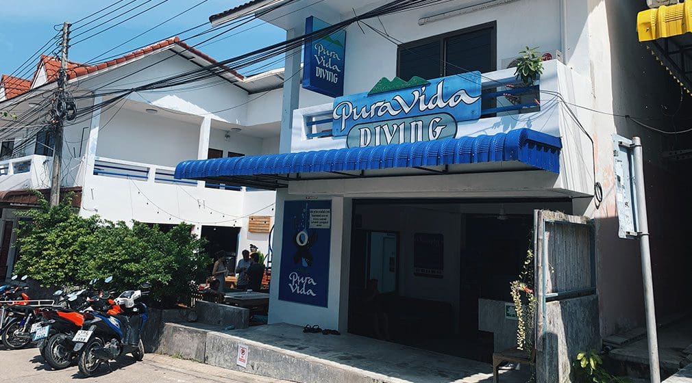 escuela pura vida buceo koh tao
