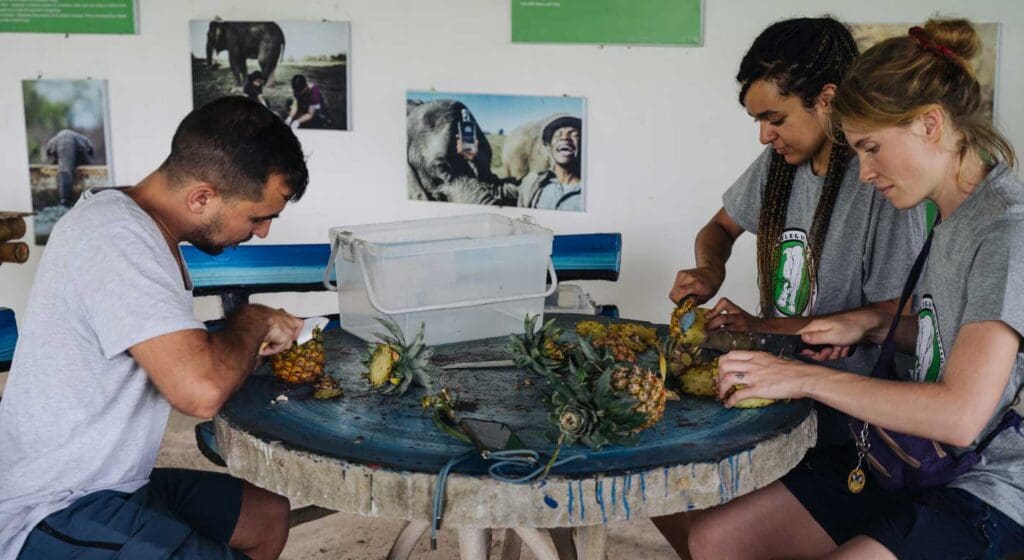 actividades somboon legacy foundation