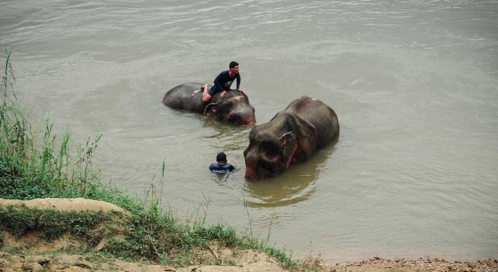 baño somboon legacy foundation