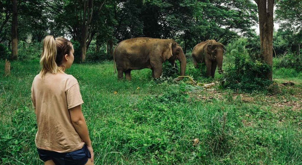 elefantes etica somboon legacy foundation