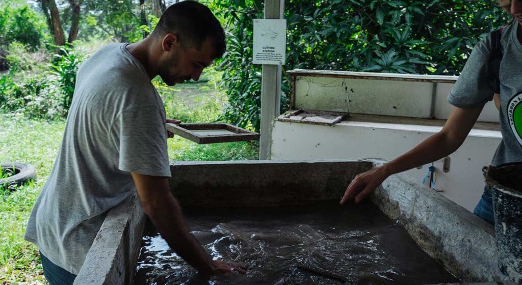 fabrica heces somboon legacy foundation