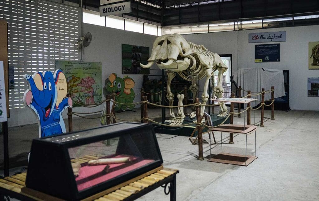 museo interactivo somboon legacy foundation