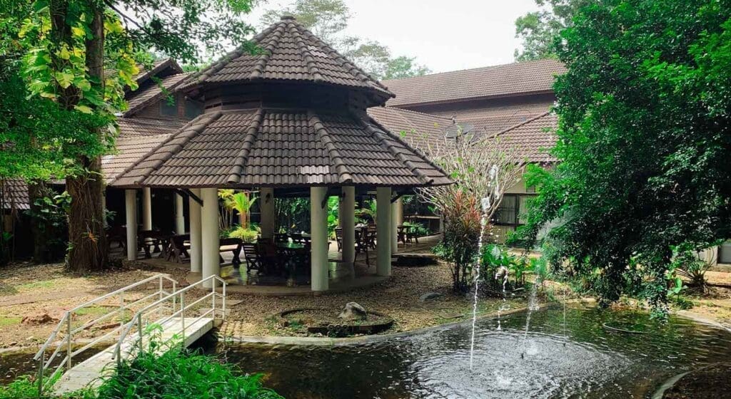 ver elefantes somboon legacy foundation