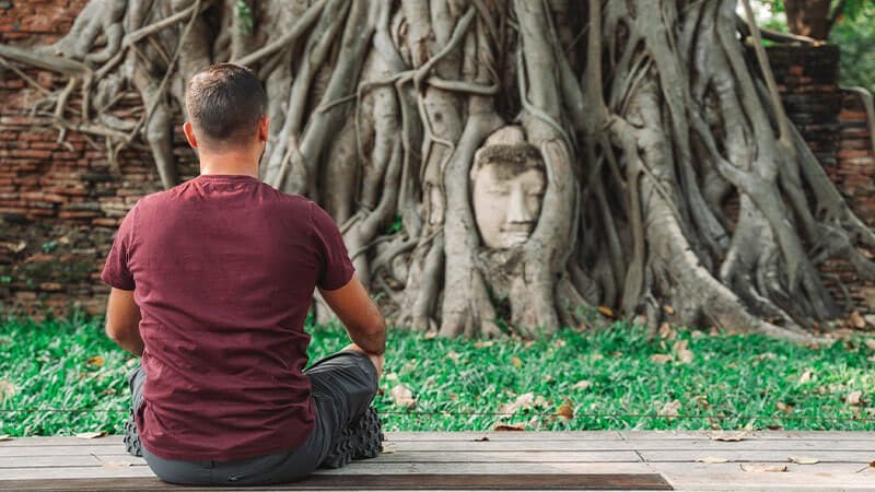 cabeza buda arboles wat maha that