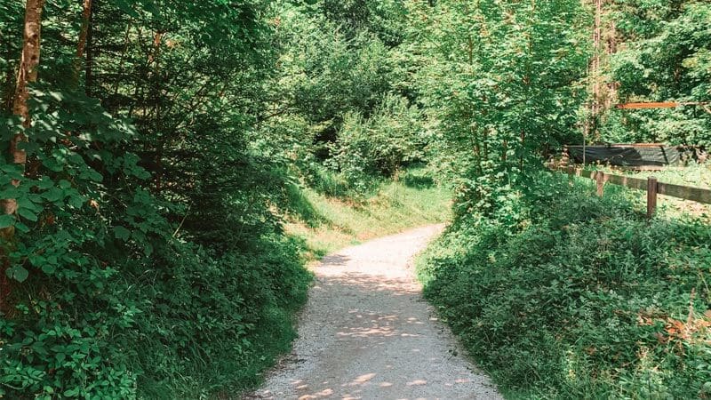 ruta cascada gollinger