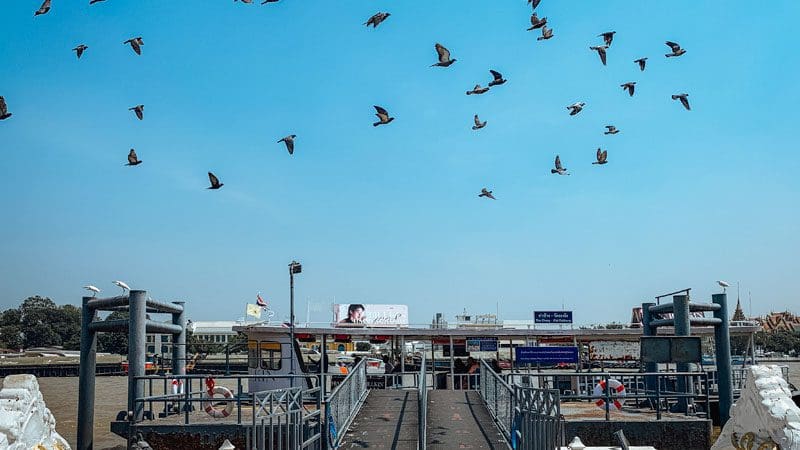 moverse-en-bangkok-dos-dias-barco