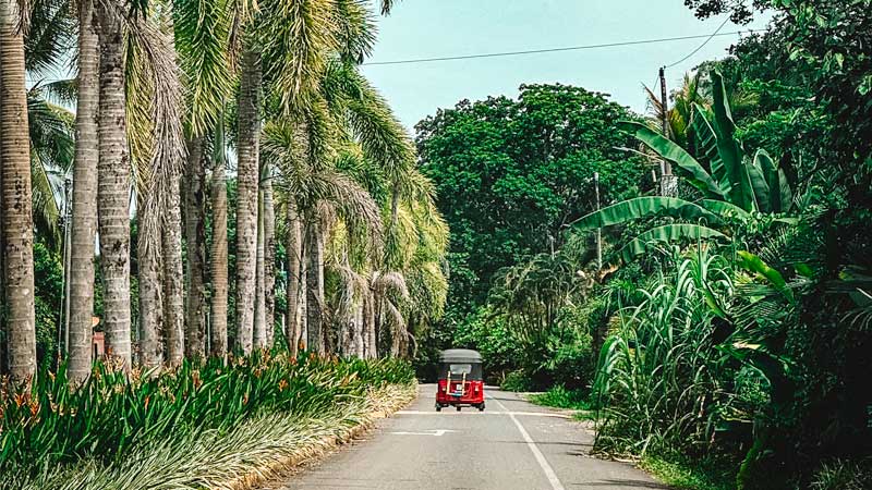 carreteras alquilar coche costa rica