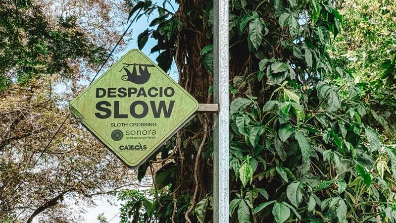 senalizacion carreteras costa rica