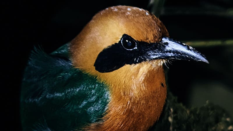 tour nocturno mistico park