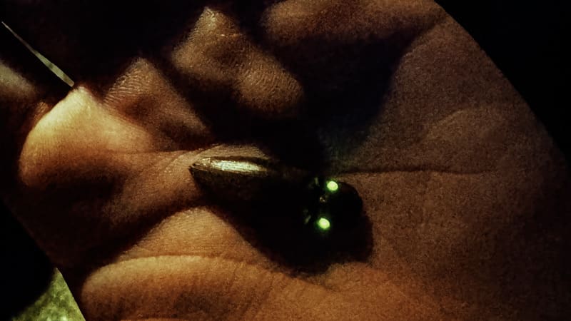 tour nocturno que hacer en la fortuna