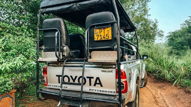 contratar excursion safari wilpattu sri lanka