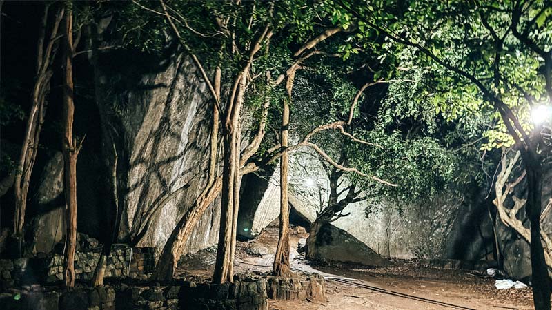 noche pidurangala rock sigiriya sri lanka